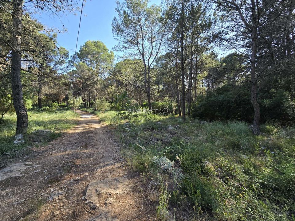 Helårsgrund i Villalonga, Valencia - foto 4
