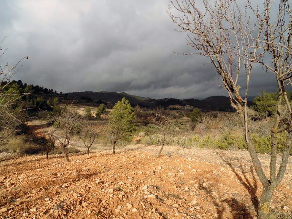 Landejendom i Monovar, Alicante - foto 5