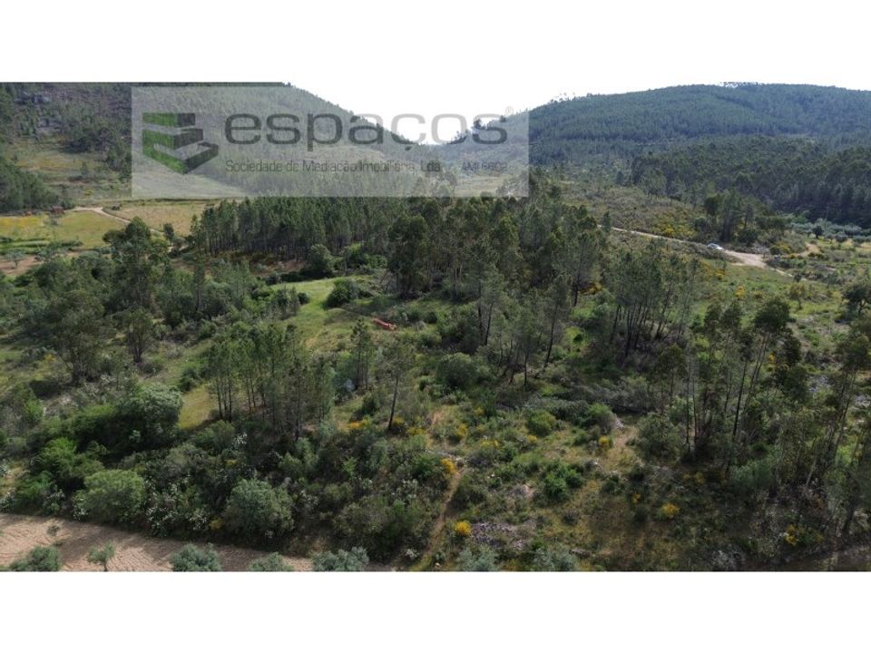 Helårsgrund i Castelo Branco, Castelo Branco - foto 4