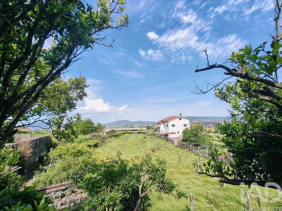 Helårsgrund i Caminha, Viana do Castelo - foto 5