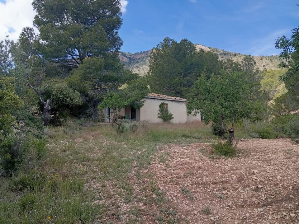 Masia a Salinas, Alicante - foto 1