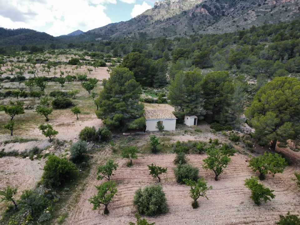 Masia a Salinas, Alicante - foto 3