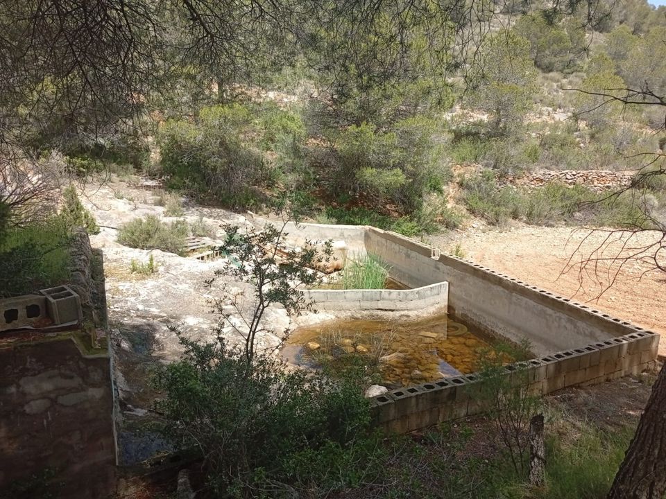 Masia a Salinas, Alicante - foto 5