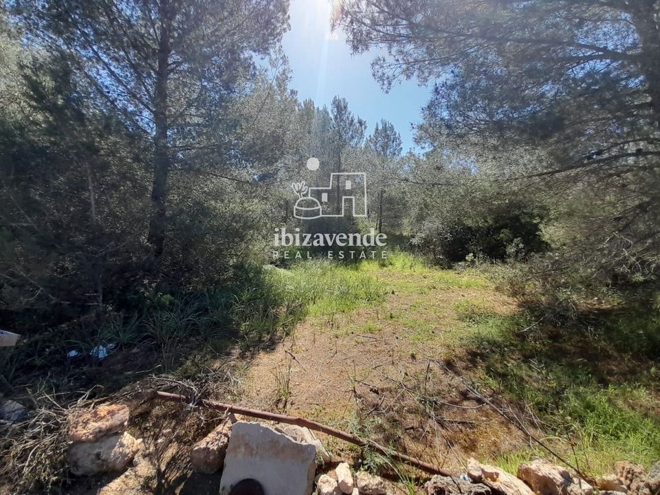 Finca i San Antonio De Portmany, Ibiza - bilde 3
