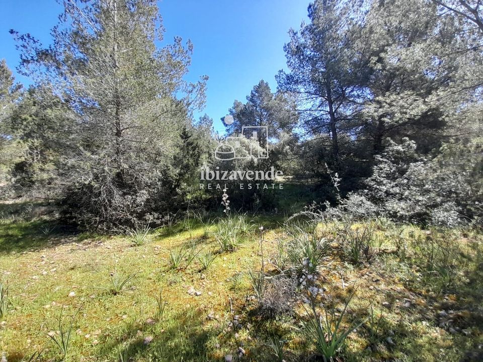 Finca i San Antonio De Portmany, Ibiza - bilde 5
