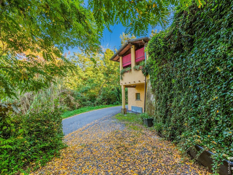Herregård i Pietrasanta, Lucca - bilde 5