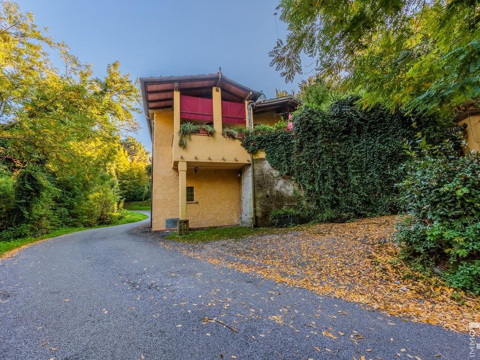 Herregård i Pietrasanta, Lucca - bilde 4