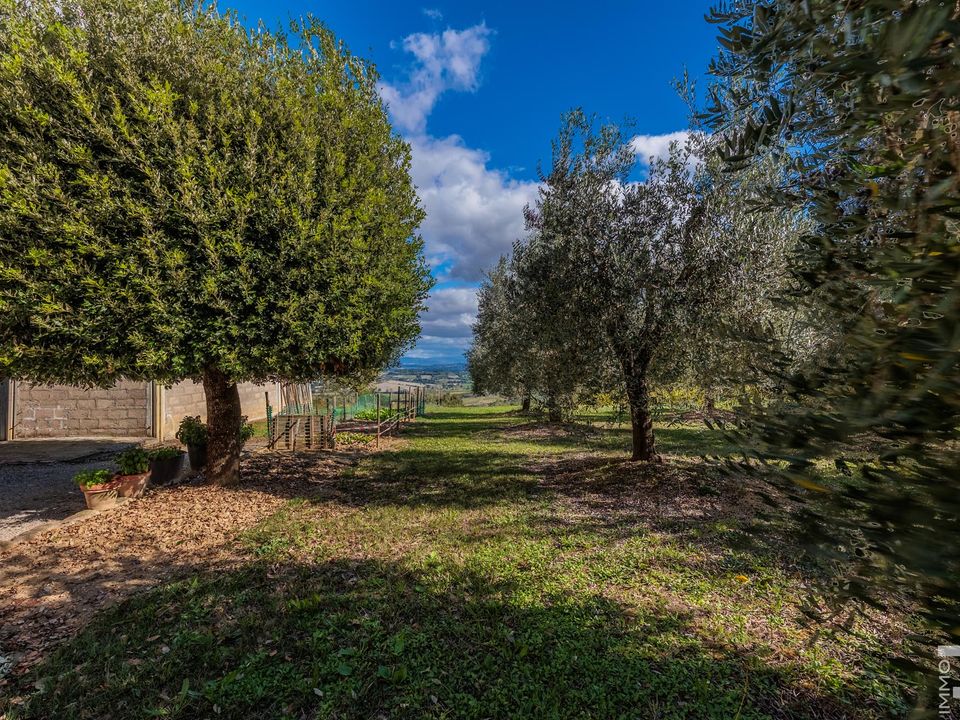 Villa i Montepulciano, Siena - foto 5