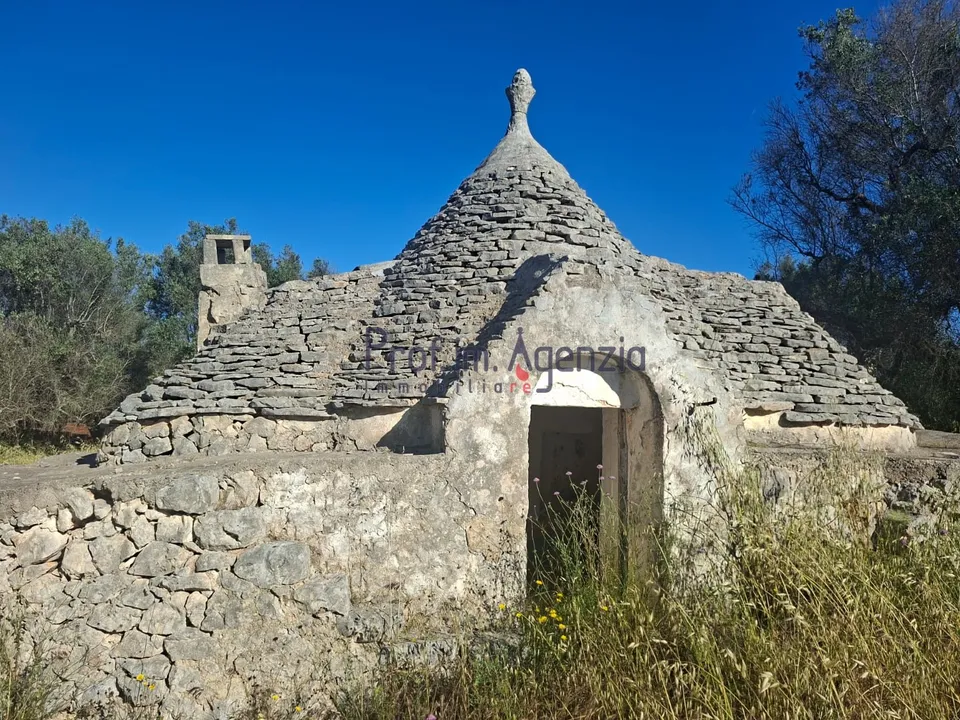 Landejendom i San Vito dei Normanni, Brindisi - foto 1