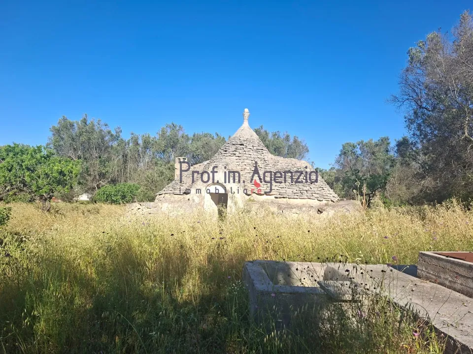 Landejendom i San Vito dei Normanni, Brindisi - foto 3