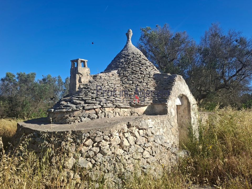 Landejendom i San Vito dei Normanni, Brindisi - foto 2