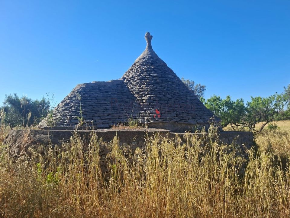 Landejendom i San Vito dei Normanni, Brindisi - foto 4