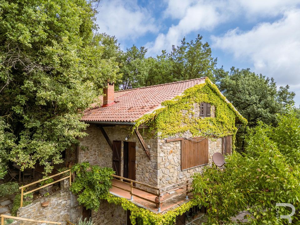 Landejendom i Montalcino, Siena - foto 4