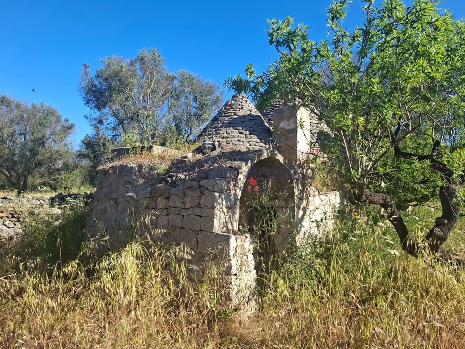 Landejendom i San Michele Salentino, Brindisi - foto 3