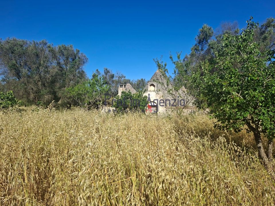 Landejendom i San Michele Salentino, Brindisi - foto 5