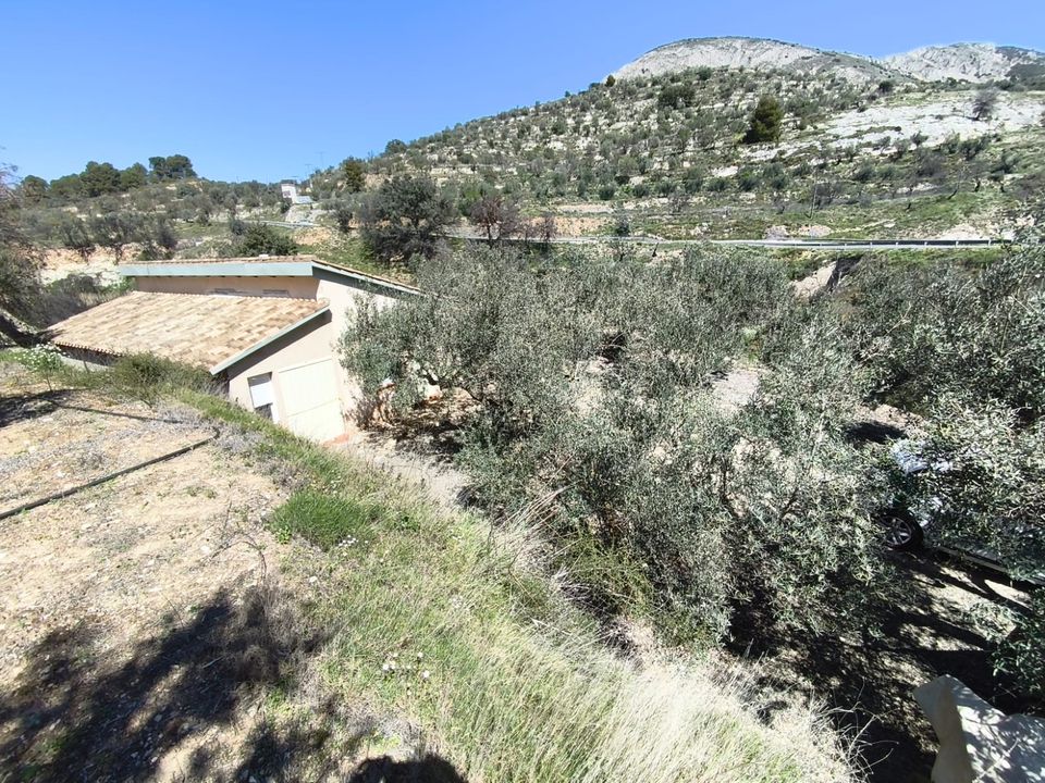 Herregård i Alcoleja, Alicante - bilde 2