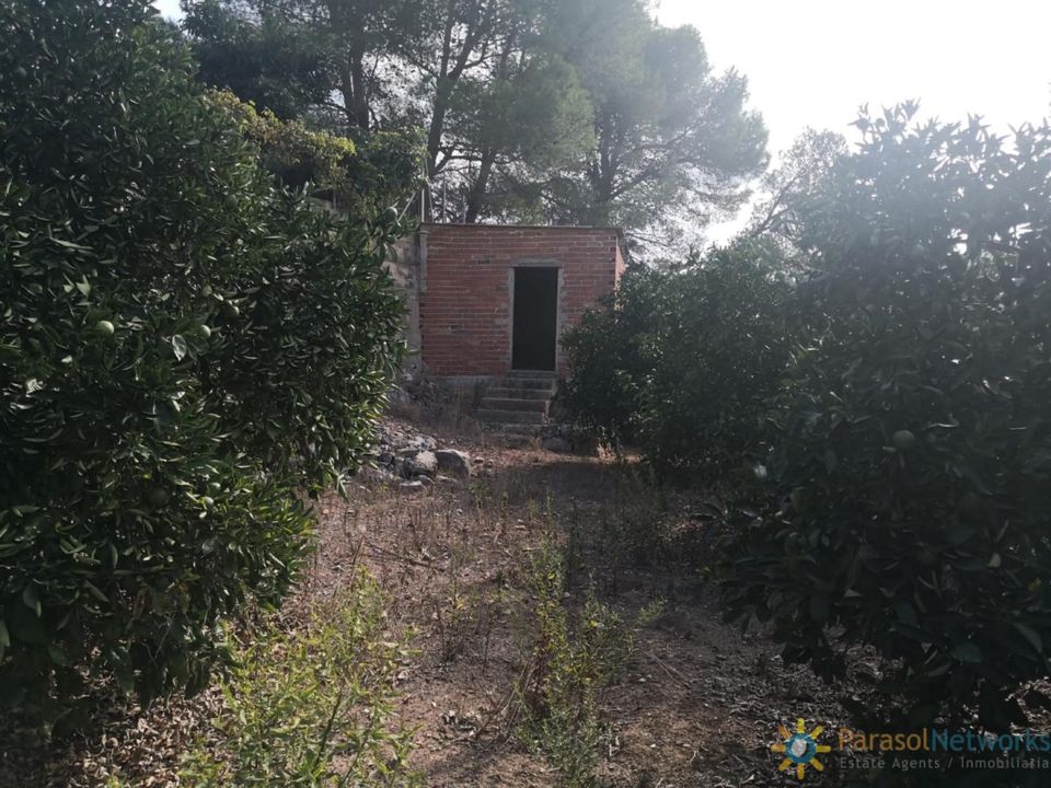 Helårsgrund i Villalonga, Valencia - foto 4