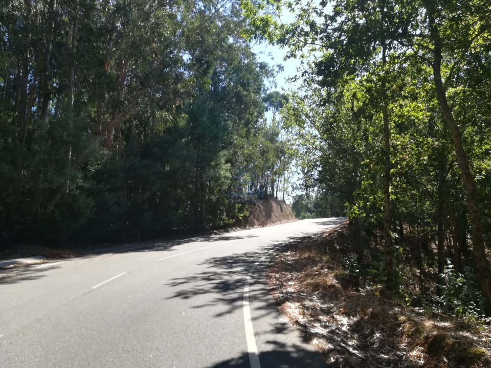 Helårsgrund i Tondela, Viseu - foto 1
