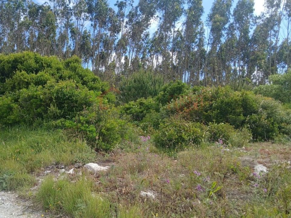 Helårsgrund i Lourinha, Lisbon - foto 3