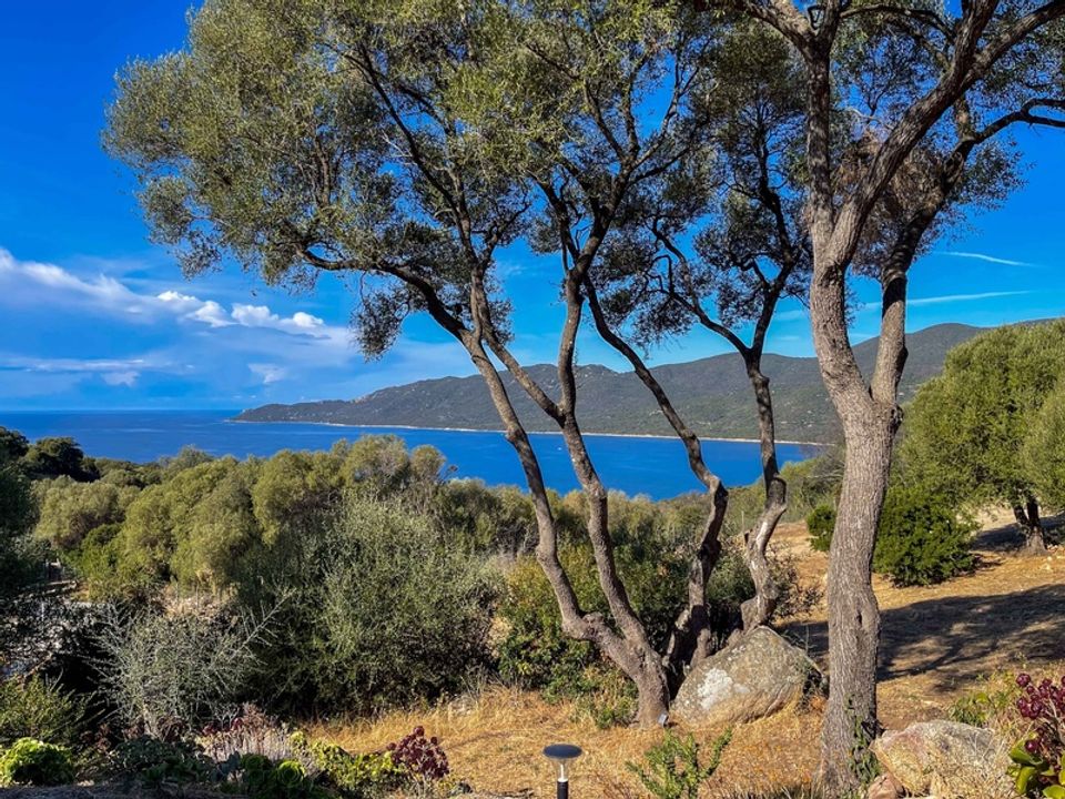 Villa em Serra-di-Ferro, Corse-du-Sud - foto 2