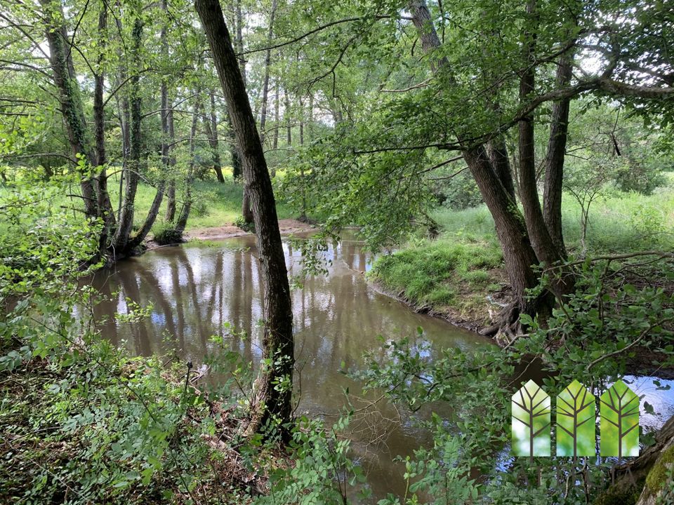 Farm i Chassignolles, Indre - foto 5