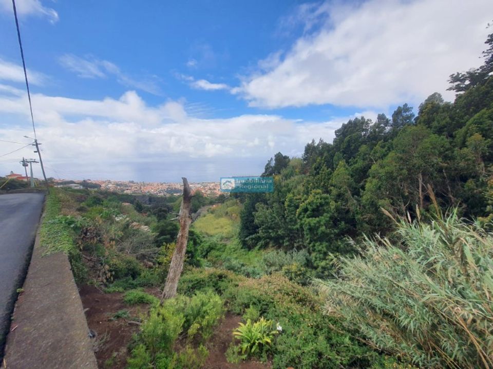 Helårsgrund i Funchal, Madeira - foto 1