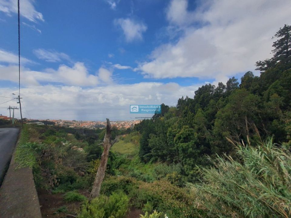 Helårsgrund i Funchal, Madeira - foto 2