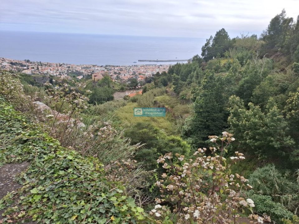 Helårsgrund i Funchal, Madeira - foto 3