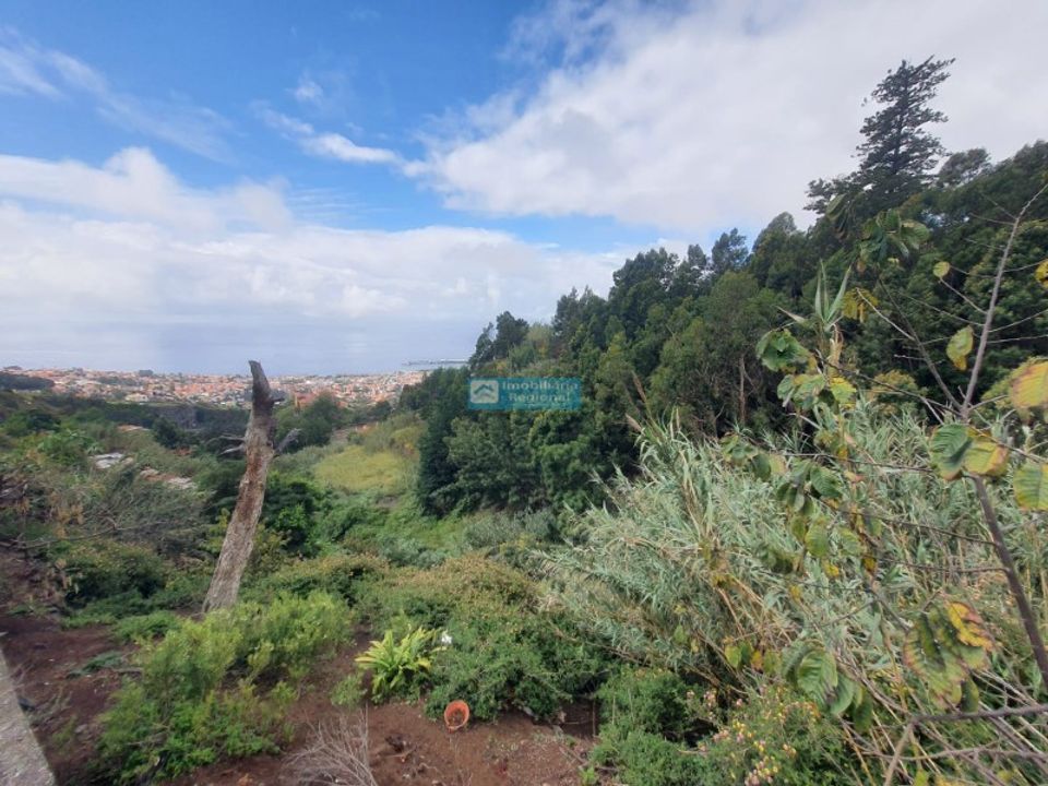 Helårsgrund i Funchal, Madeira - foto 4