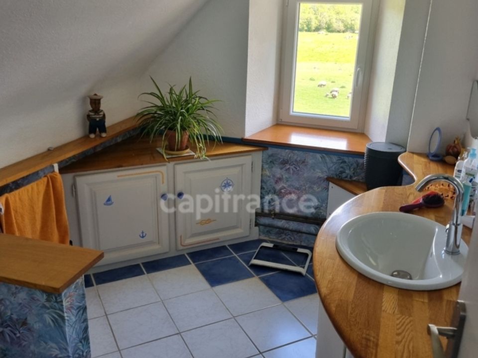 Farm hus i Neuvillalais, Sarthe - foto 4