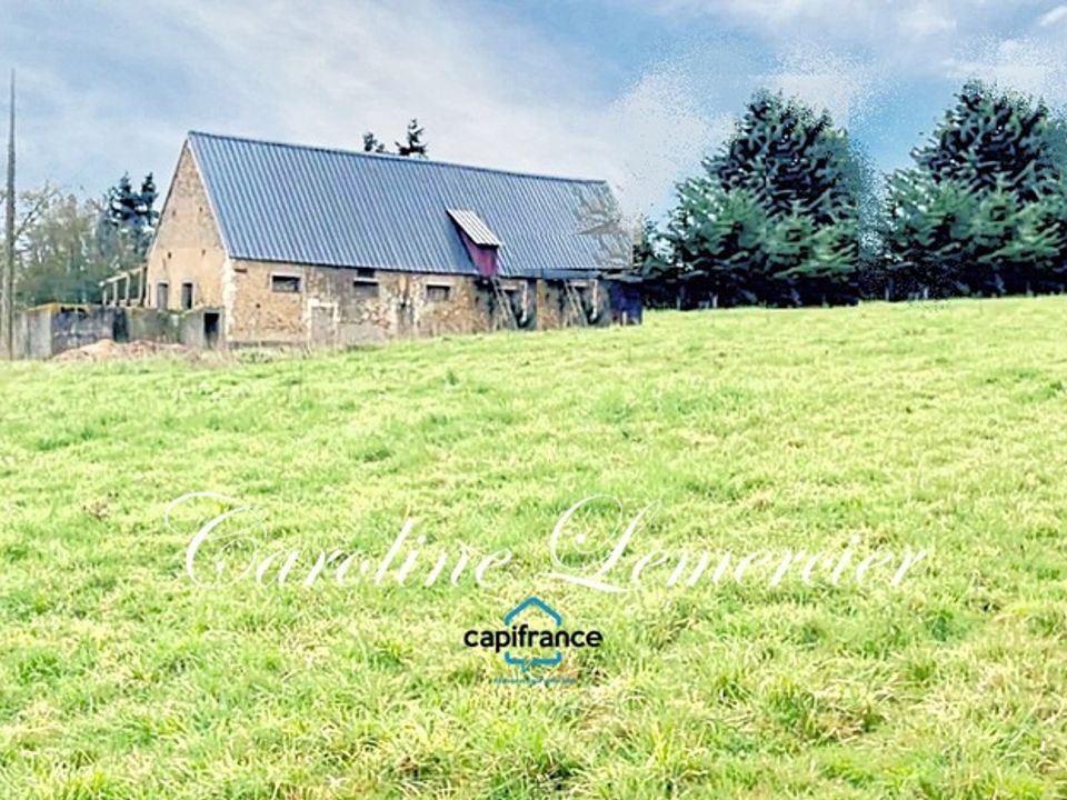 Farm hus i Connerré, Sarthe - foto 1