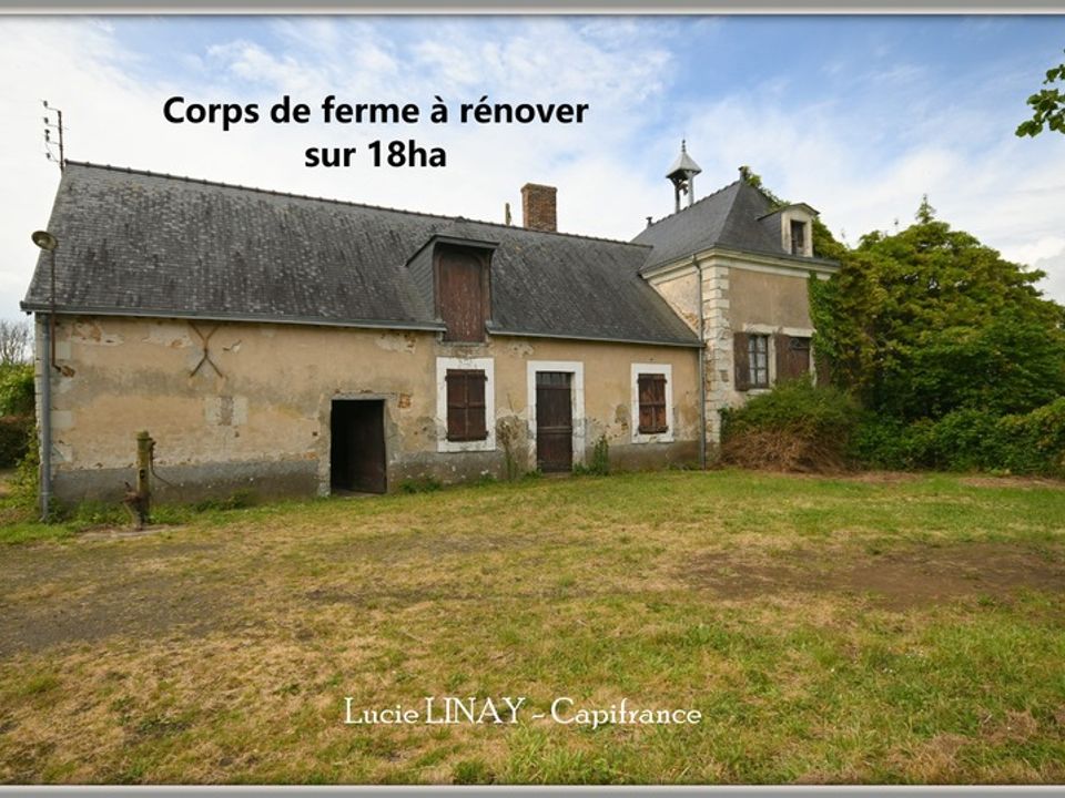 Farm hus i Sable-sur-Sarthe, Sarthe - foto 1