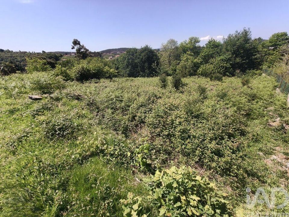 Helårsgrund i Paredes de Coura, Viana do Castelo - foto 2