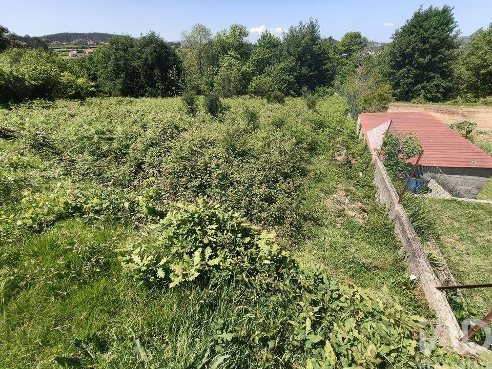 Helårsgrund i Paredes de Coura, Viana do Castelo - foto 4