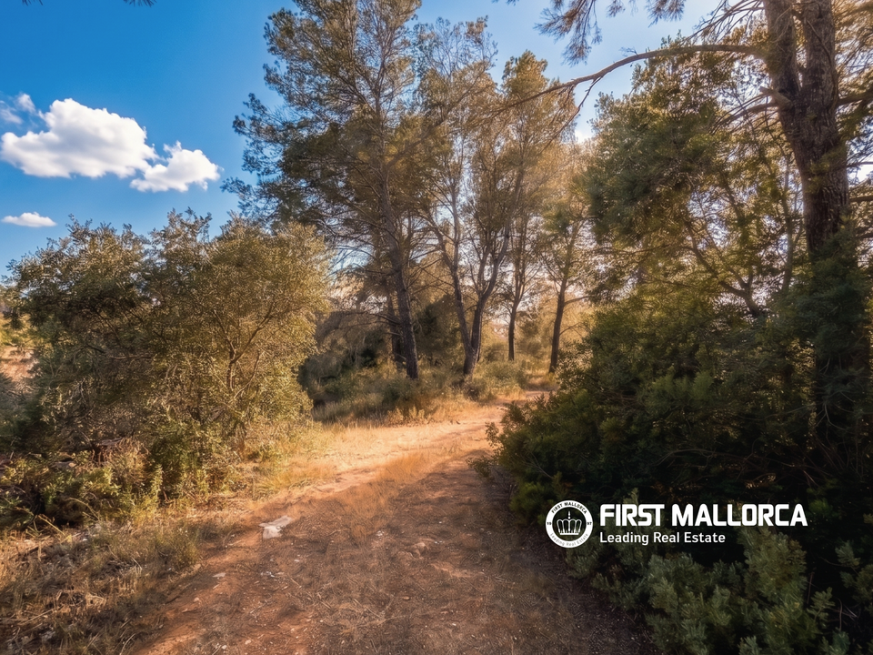 Helårsgrund i Algaida, Mallorca - foto 1