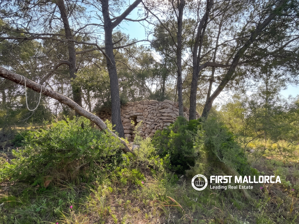 Helårsgrund i Algaida, Mallorca - foto 5