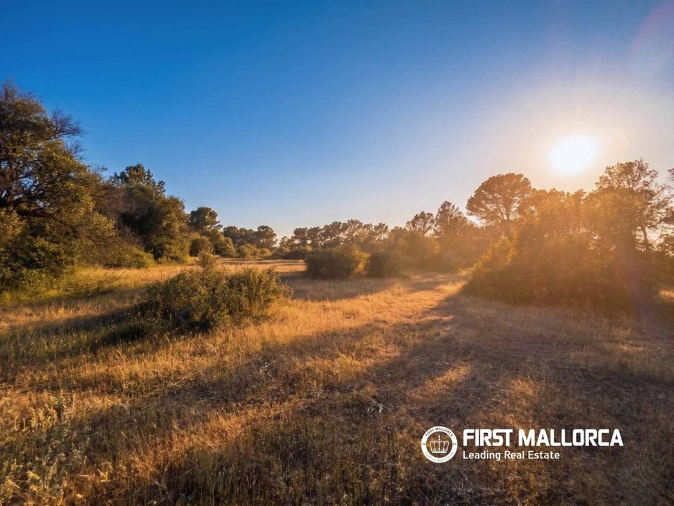 Terra em Algaida, Mallorca - foto 2