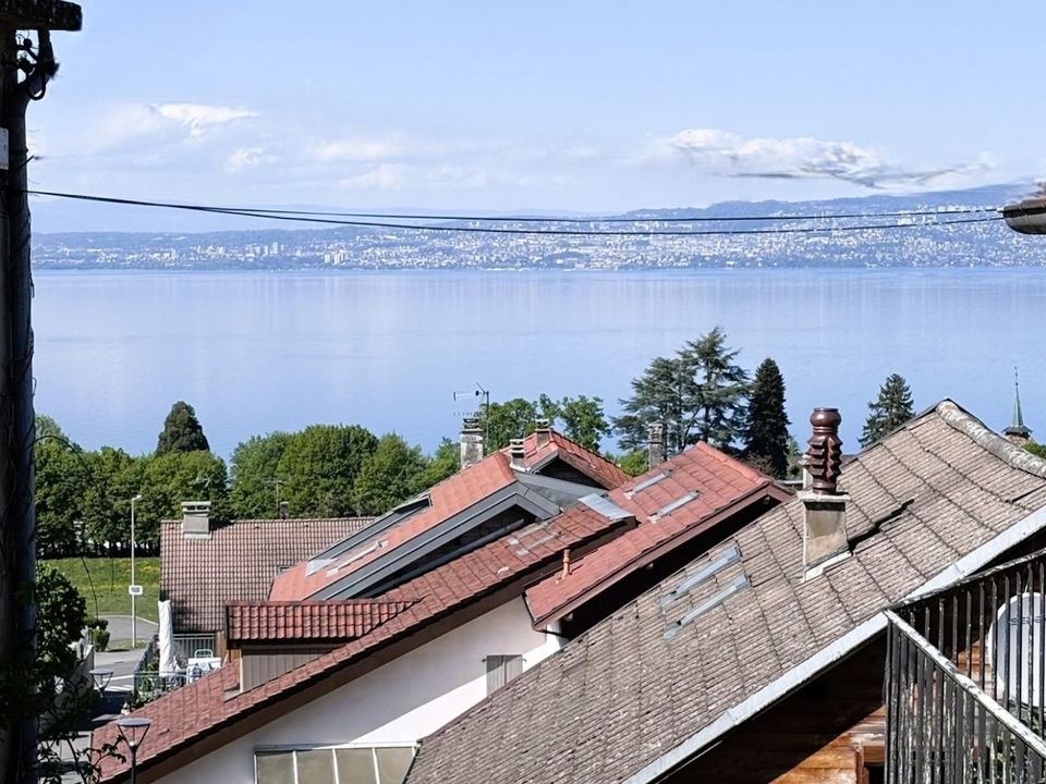 Villa en Neuvecelle, Haute-Savoie - foto 1