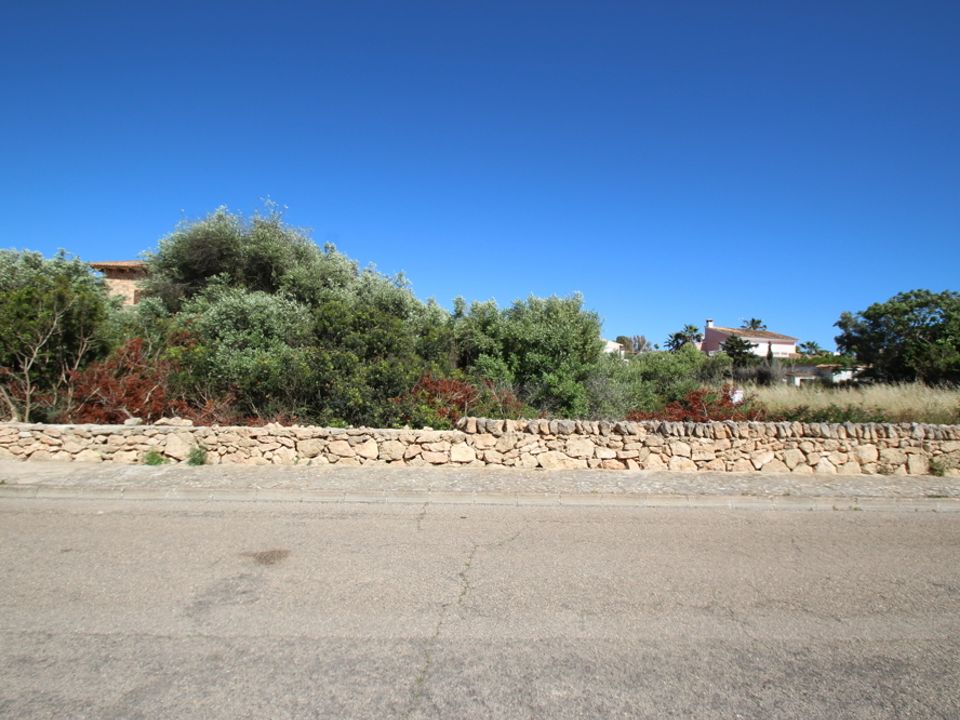 Terra a Sa Torre, Mallorca - foto 1