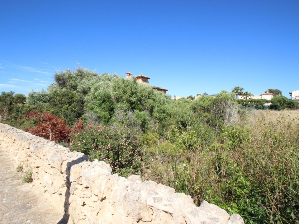 Terra a Sa Torre, Mallorca - foto 2