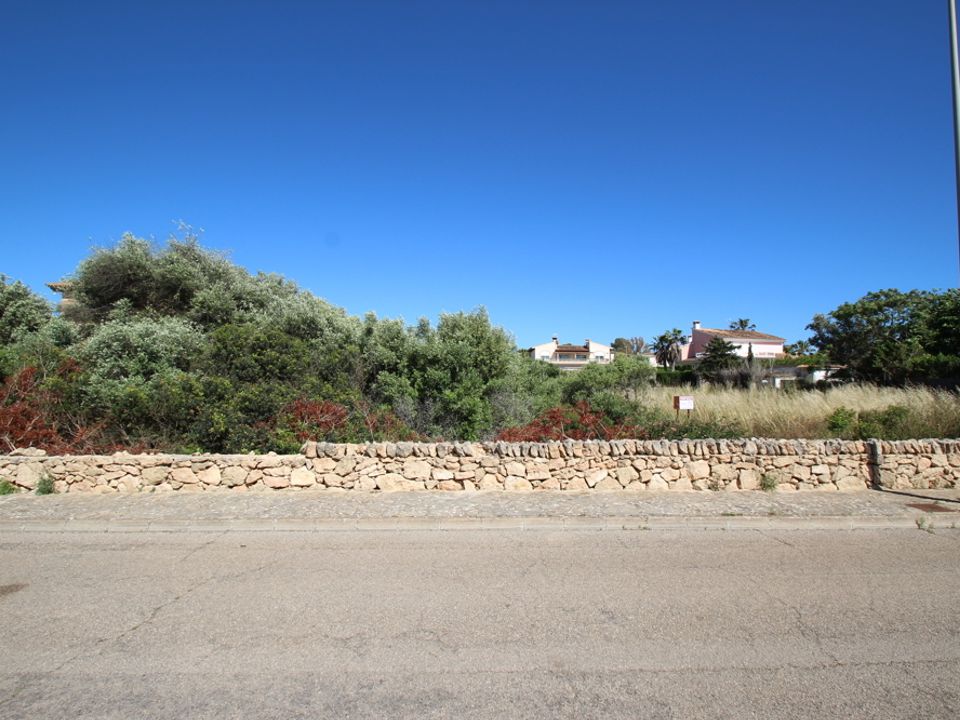 Terra a Sa Torre, Mallorca - foto 3
