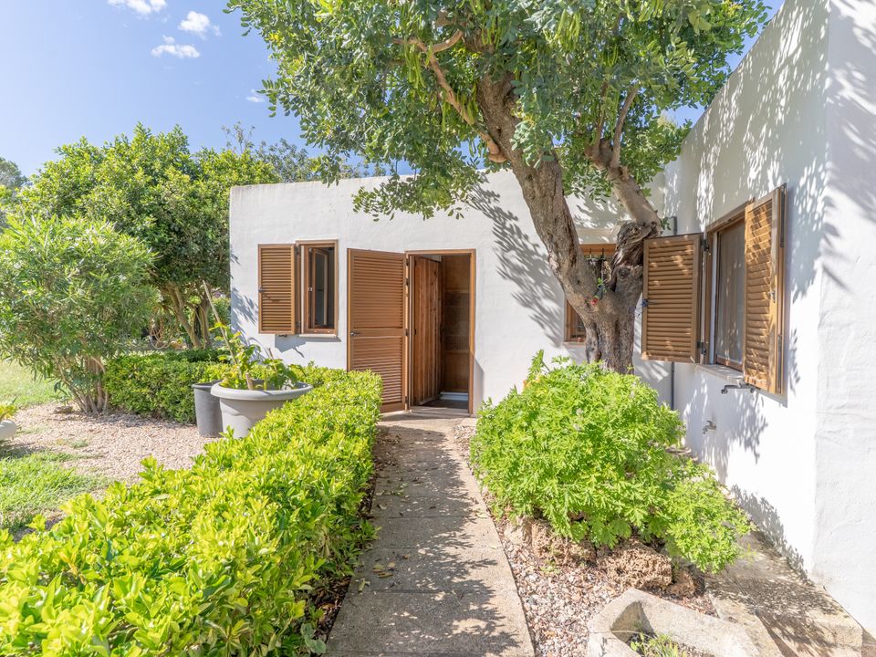 Finca i Palmanova, Mallorca - foto 4