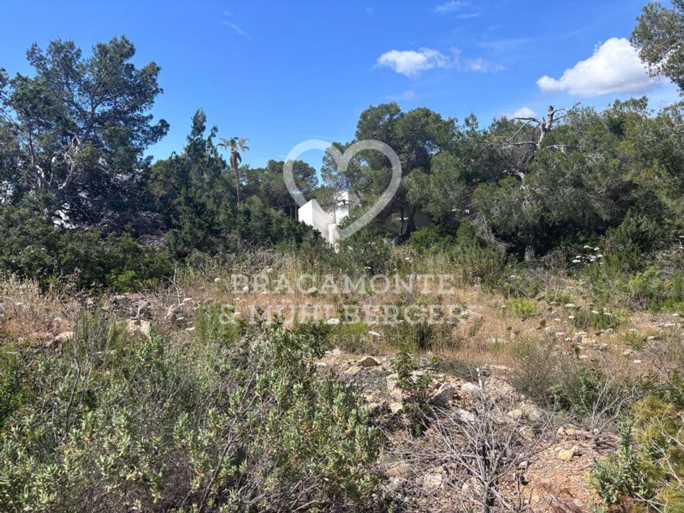 Helårsgrund i San Carlos De Peralta, Ibiza - foto 2
