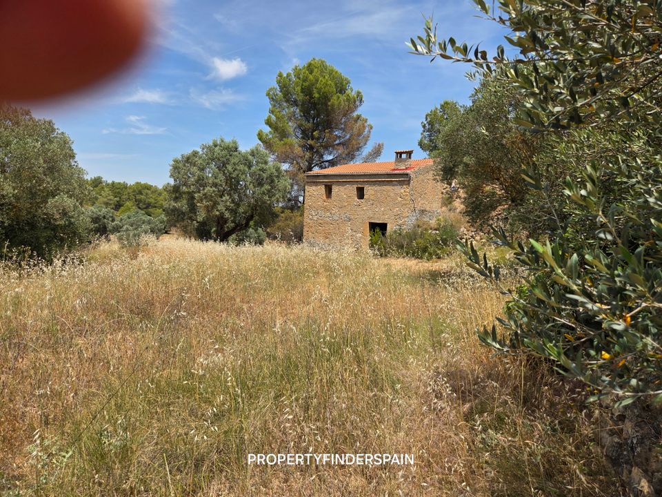Landejendom i Flix, Tarragona - foto 3