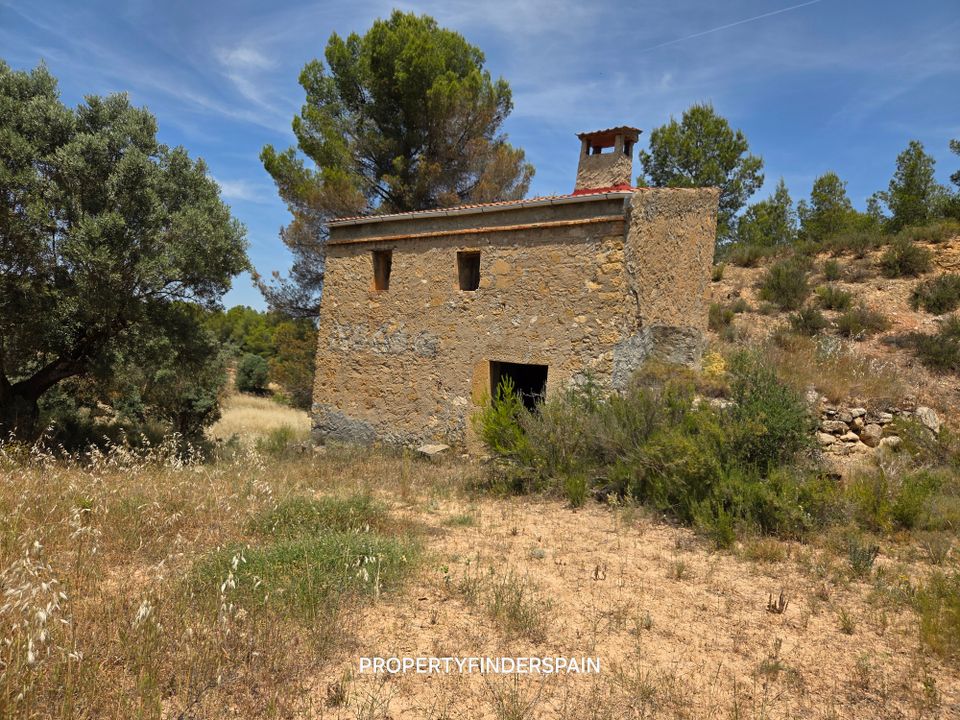 Landejendom i Flix, Tarragona - foto 4