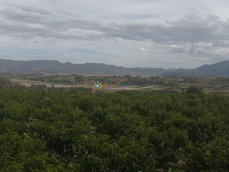 Helårsgrund i Beniganim, Valencia - foto 2