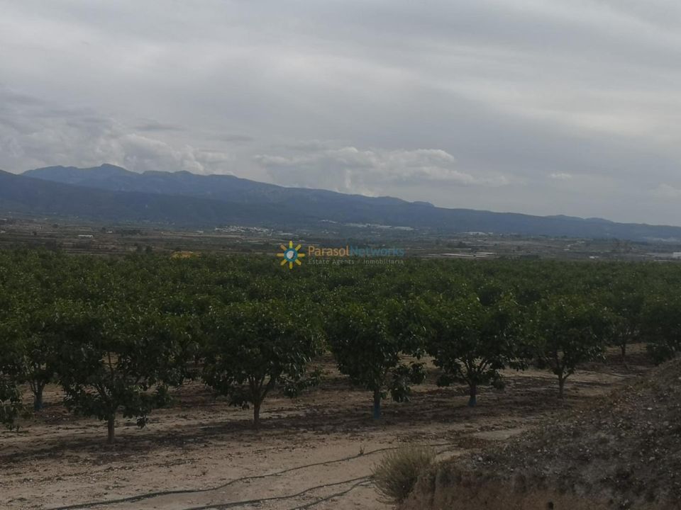 Helårsgrund i Beniganim, Valencia - foto 1