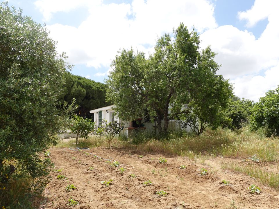 Finca i Chiclana De La Frontera, Cadiz - foto 2