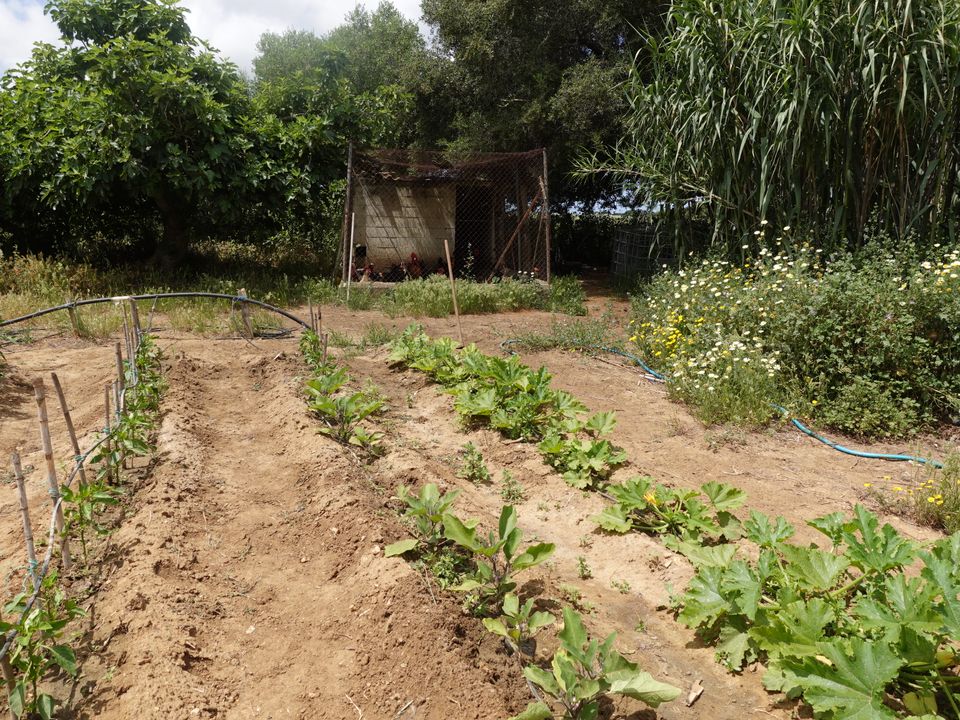 Finca i Chiclana De La Frontera, Cadiz - foto 5