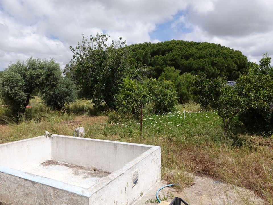 Finca i Chiclana De La Frontera, Cadiz - foto 4